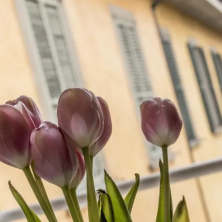 Casa Sofia -airport Free Shuttle-h24 Apartman